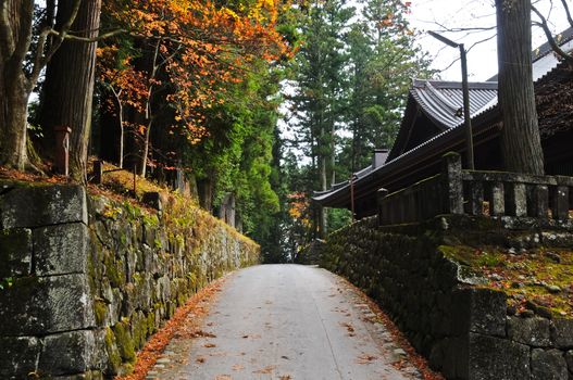 Romantic passage next to an old temple in Japanese Autumn