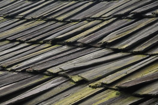 Repeated wooden tiles with moss and lichen in Asia