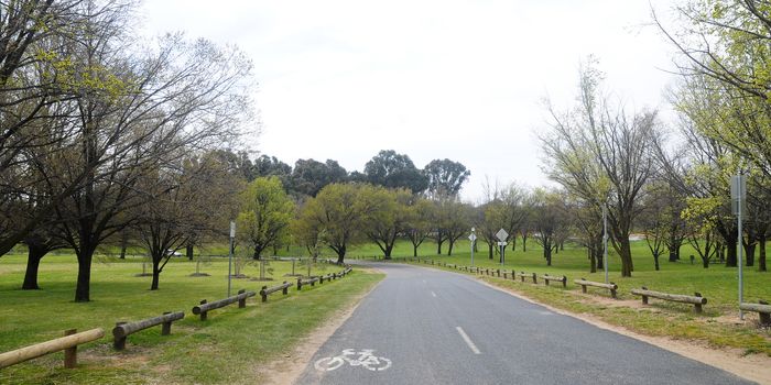 Beautiful country road  near meadow park