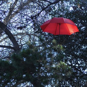 Red vintage umbrella floating above the trees