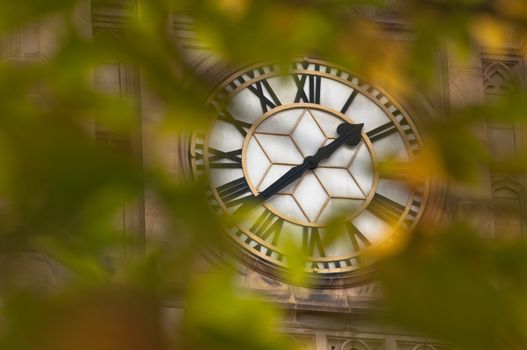 Big antique clock through maple leaves