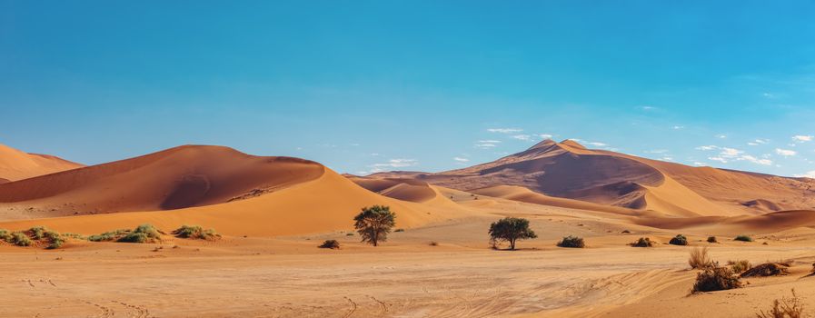 dunes in sossusvlei with wind shapes the sand dunes, Namibia arid wilderness landscape