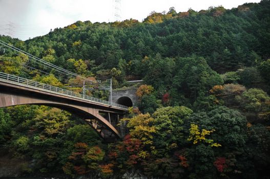 Ancient romantic vintage railway in deep Autumn forest in Japan