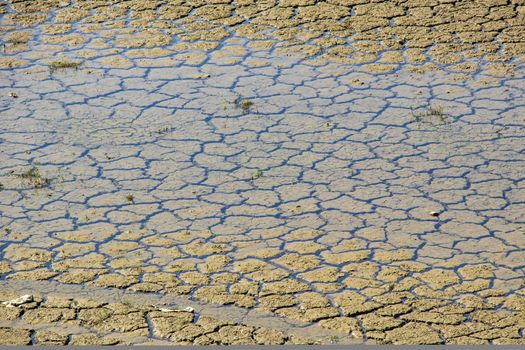 global warming and drought in nature