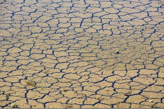 global warming and drought in nature