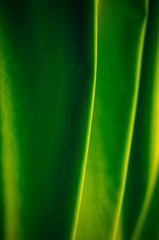 Decoration, branding and surface concept - Abstract green fabric background, velvet textile material for blinds or curtains, fashion texture and home decor backdrop for luxury interior design brand