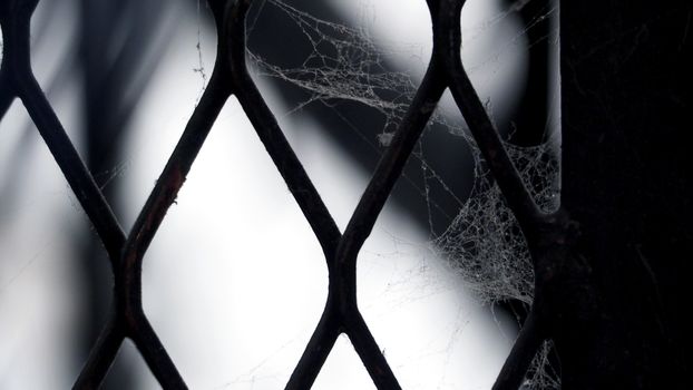 White cobweb on the old and dirty steel metal fence close-up angle.  