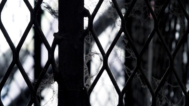 White cobweb on the old and dirty steel metal fence close-up angle.  