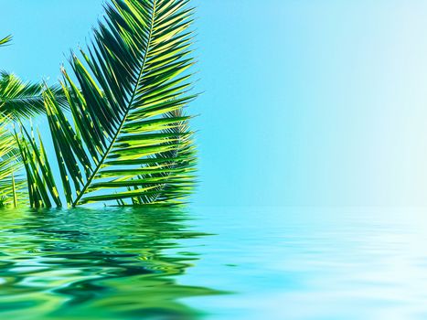 Palm tree leaves and sea water, summertime travel and beach background