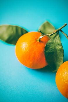 Citrus, raw and vegan concept - Fresh natural juicy tangerines, clementine fruit dessert for healthy nutrition diet, organic garden food, mandarin orange in vintage style for agriculture brand design