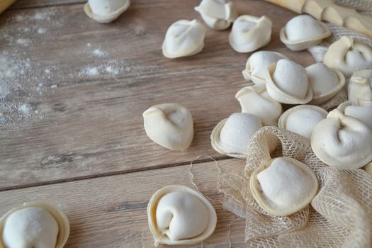 Dumplings by cook yourself, homemade organic food