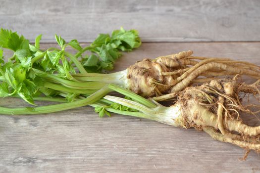 celery root with leaves on shabby white background. Healthy food. Organic plante.