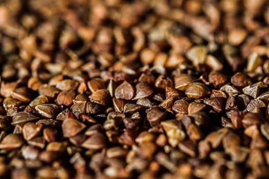 Buckwheat grain closeup, food texture and cook book backgrounds