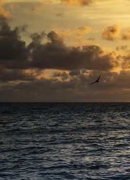 Beautiful pictures of  Belize