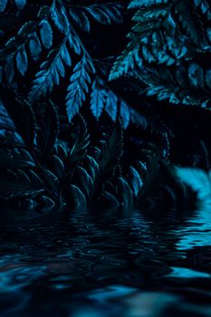 Blue plant leaves and water at night as surreal botanical background, minimal design backdrop