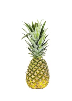 On a white background there is a large ripe pineapple