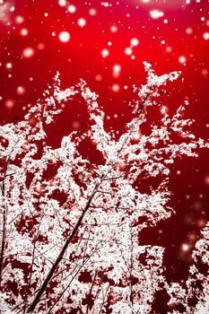 Branding, magic and festive concept - Christmas, New Years red floral background, holiday card design, flower tree and snow glitter as winter season sale promotion backdrop for luxury beauty brand