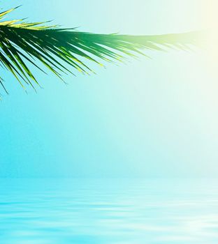 Palm tree leaves and sea water, summertime travel and beach background