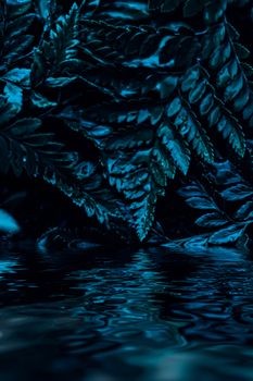 Blue plant leaves and water at night as surreal botanical background, minimal design backdrop