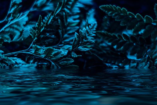 Blue plant leaves and water at night as surreal botanical background, minimal design backdrop