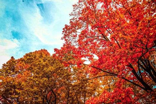 Seasonal travel, retro backdrop and rural environment concept - Beautiful autumn landscape background, vintage nature scene in fall season