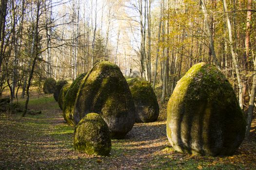 Europos parkas, Space of Unknown Growth in Vilnius
