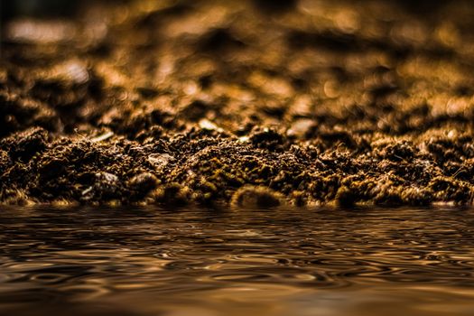 Earth ground and water texture as background, nature and environmental backdrop
