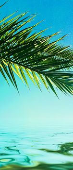 Palm tree leaves and sea water, summertime travel and beach background