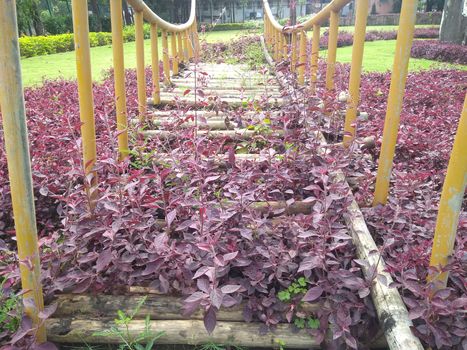 Old iron bridge in the garden with plants and grass.