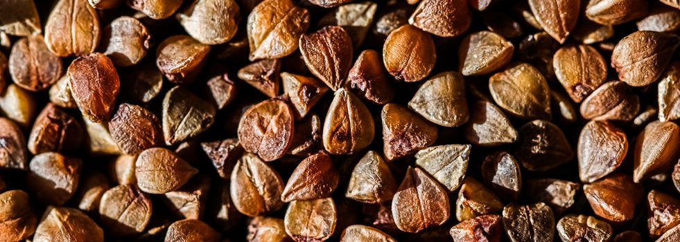 Buckwheat grain closeup, food texture and cook book backgrounds