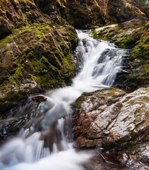 Beautiful pictures of  Canada
