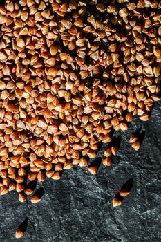 Buckwheat grain closeup, food texture and cook book backgrounds