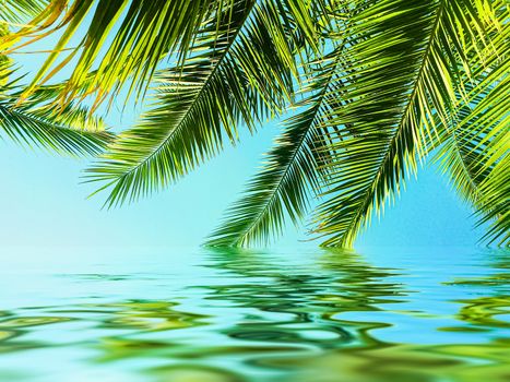 Palm tree leaves and sea water, summertime travel and beach background