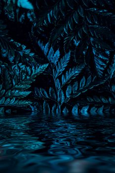 Blue plant leaves and water at night as surreal botanical background, minimal design backdrop