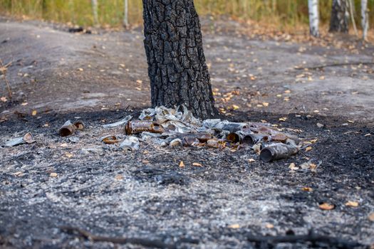 burned pile of trash under tree in forest - close-up with selective focus