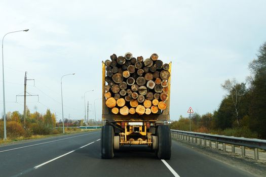 a truck on the highway carries logs, back view