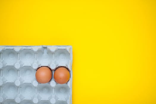 Chicken eggs in cassette on bright yellow background