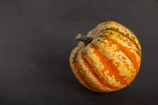 Orange, yellow pumpkin lies on a black background.