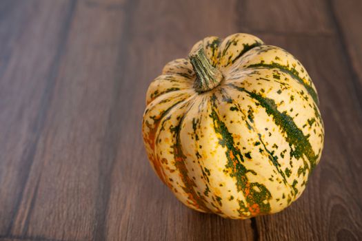 Colored beautiful pumpkin lies on a wooden background.