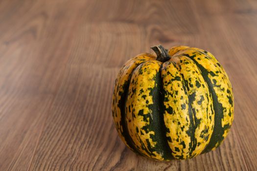 Colored beautiful pumpkin lies on a wooden background.