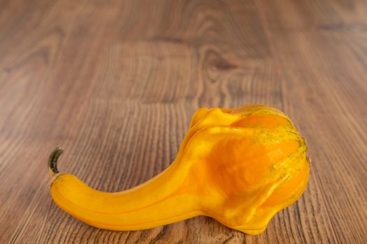 Colored beautiful pumpkin lies on a wooden background.