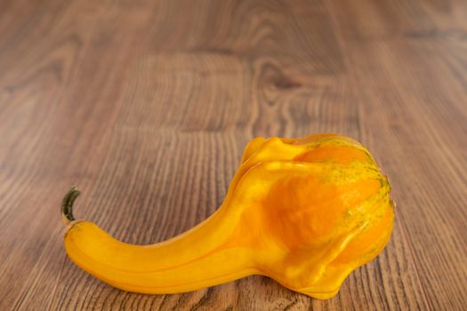 Colored beautiful pumpkin lies on a wooden background.