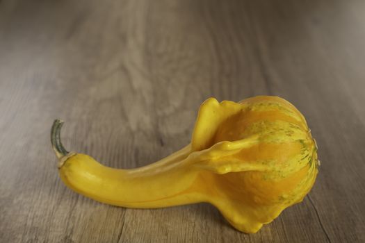 Colored beautiful pumpkin lies on a wooden background.