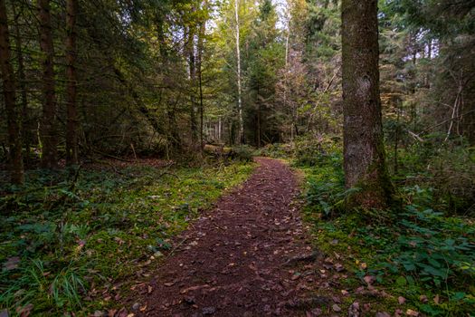 Fantastic hike in the Schrecksee nature reserve in Upper Swabia Germany