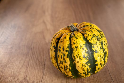 Colored beautiful pumpkin lies on a wooden background.