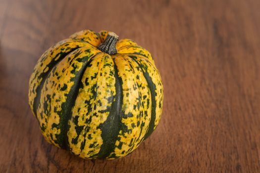 Colored beautiful pumpkin lies on a wooden background.