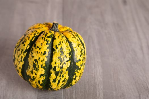 Colored beautiful pumpkin lies on a wooden background.