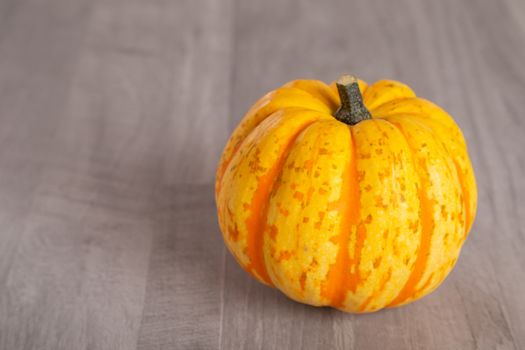 Colored beautiful pumpkin lies on a wooden background.