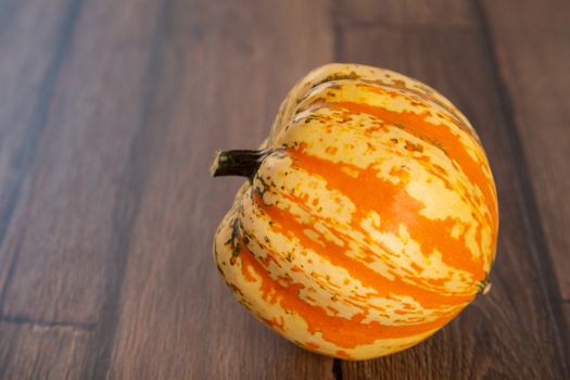 Colored beautiful pumpkin lies on a wooden background.