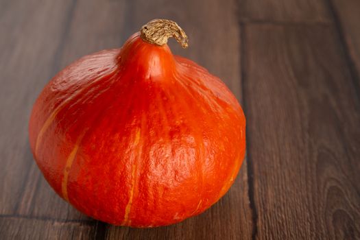 Colored beautiful pumpkin lies on a wooden background.